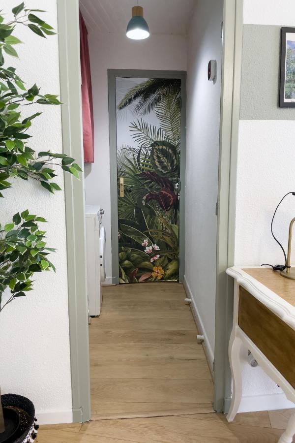 Appartement Lumineux 1 Chambre Hypercentre Place St Jean Valence  Luaran gambar